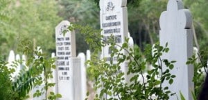 Mezarlıklar E Devletten Sorgulanabilecek