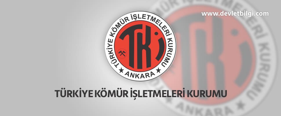 TKİ, Türkiye Kömür İşletmeleri 95 Personel Alımı