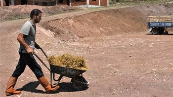 AVM yöneticisi köyünde hayvancılığa başladı