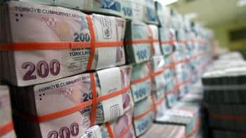 Hazine 2,39 milyar lira borçlandı