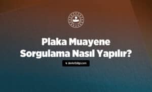 Plaka Muayene Sorgulama Nasıl Yapılır?