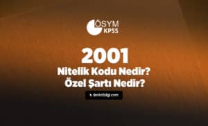 2001 Nitelik Kodu Nedir? 2001 Özel Şartı Nedir?