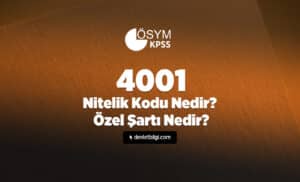 4001 Nitelik Kodu Nedir? 4001 Özel Şartı Nedir?
